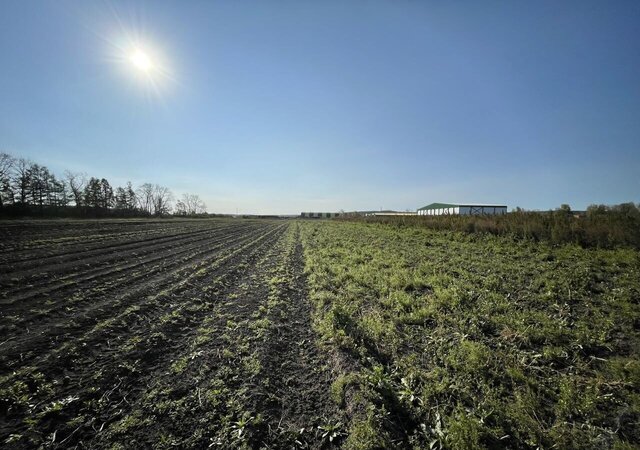 земля г Арамиль ул Базовая 27 технопарк Октябрьский фото