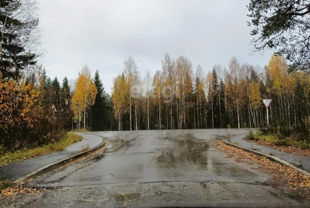 земля р-н Корткеросский муниципальное образование Додзь, СДТ Посад, 1-я линия фото 1