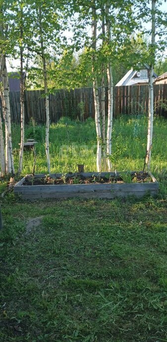 земля р-н Сыктывдинский с Выльгорт садово-дачное товарищество Ирга, 9-й проезд фото 2