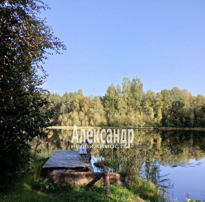 земля р-н Приозерский снт Алмаз Кузнечнинское городское поселение, садоводческое товарищество, ул. Рубиновая фото 2