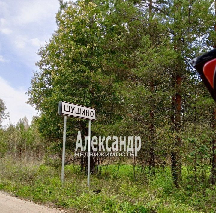 земля р-н Приозерский п Шушино ул Центральная Севастьяновское с/пос фото 3