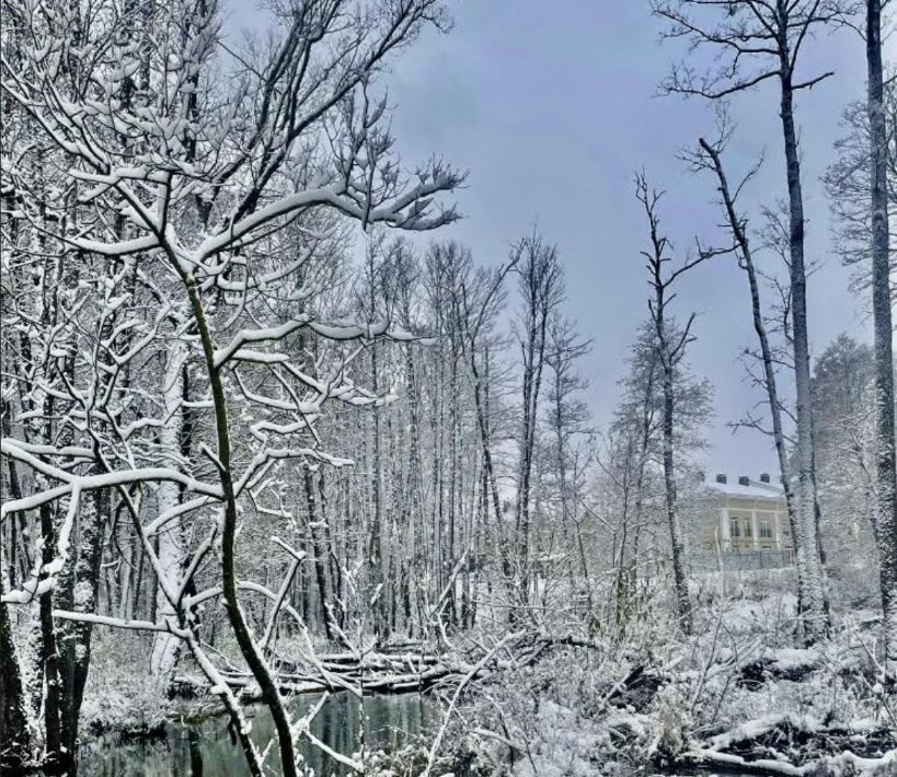 комната г Домодедово д Чулпаново Подольск фото 11