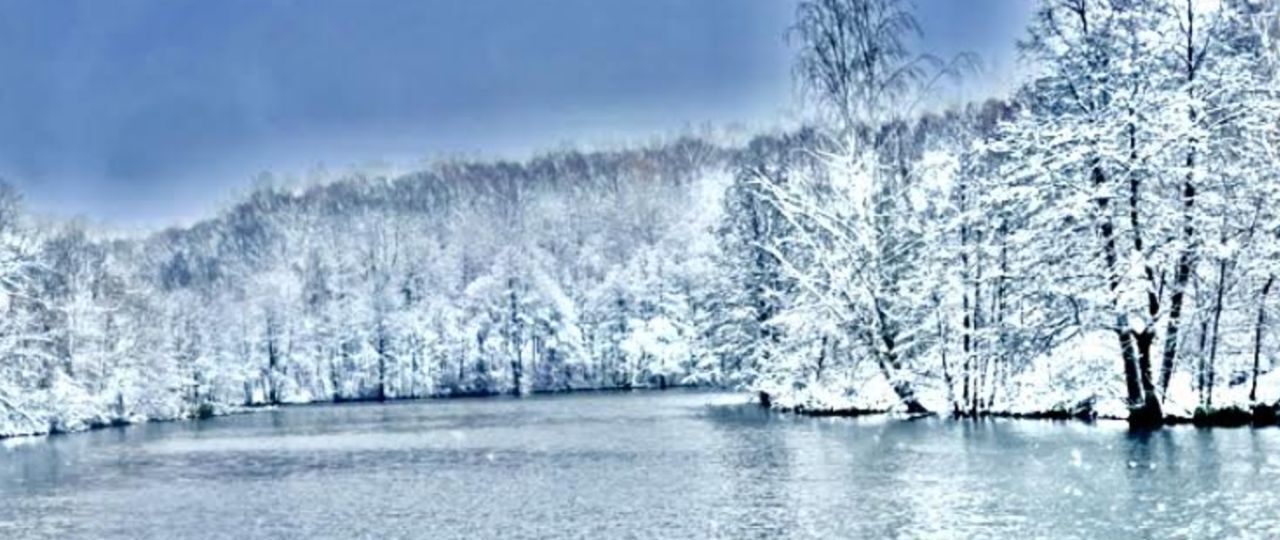 комната г Домодедово д Чулпаново Подольск фото 9