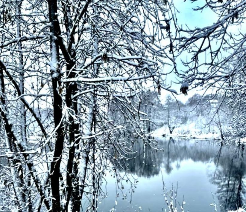 комната г Домодедово д Чулпаново Подольск фото 8