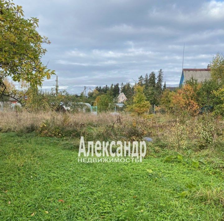 земля р-н Приозерский Ларионовское с/пос, Вуокса СНТ фото 1