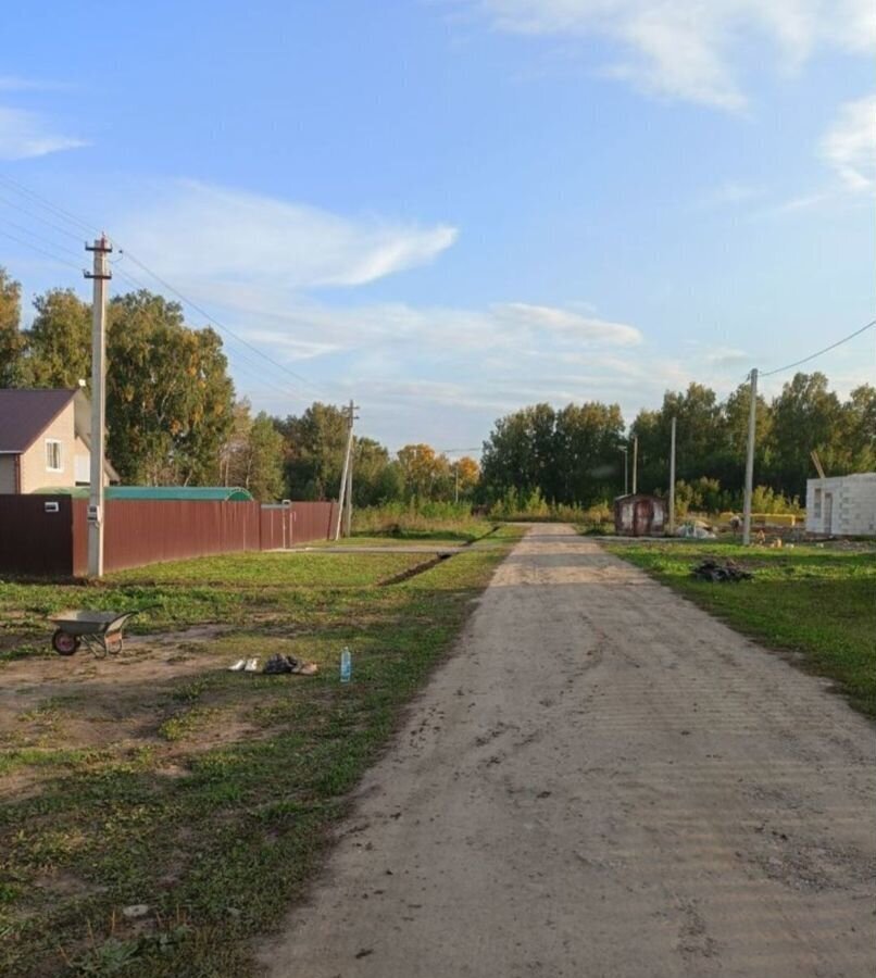 дом р-н Первомайский п Новый ул Толстого Новоалтайск фото 12