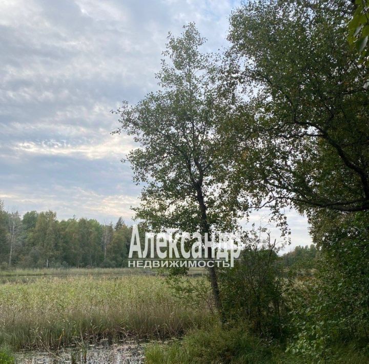 земля р-н Приозерский п Бригадное Приозерское городское поселение фото 12