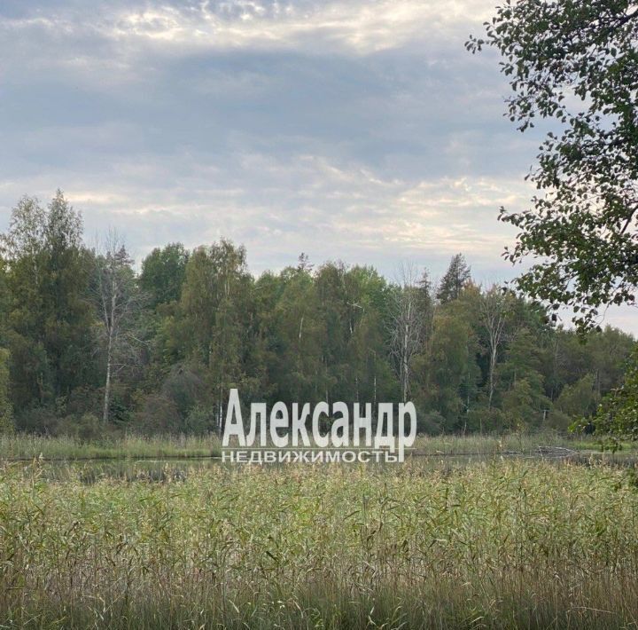 земля р-н Приозерский п Бригадное Приозерское городское поселение фото 13