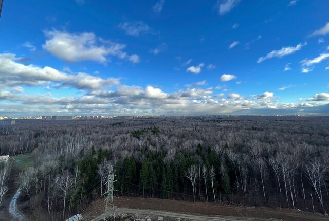 п Московский Филатов Луг, улица Никитина, 11к 11 фото