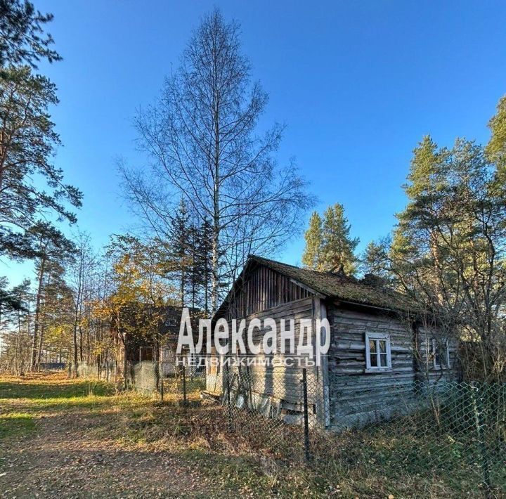 дом р-н Приозерский п Соловьевка Плодовское с/пос фото 6