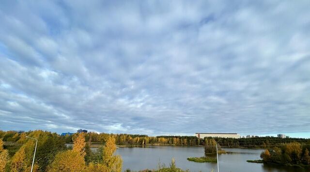 офис метро Комендантский Проспект территория Каменка округ Юнтолово фото