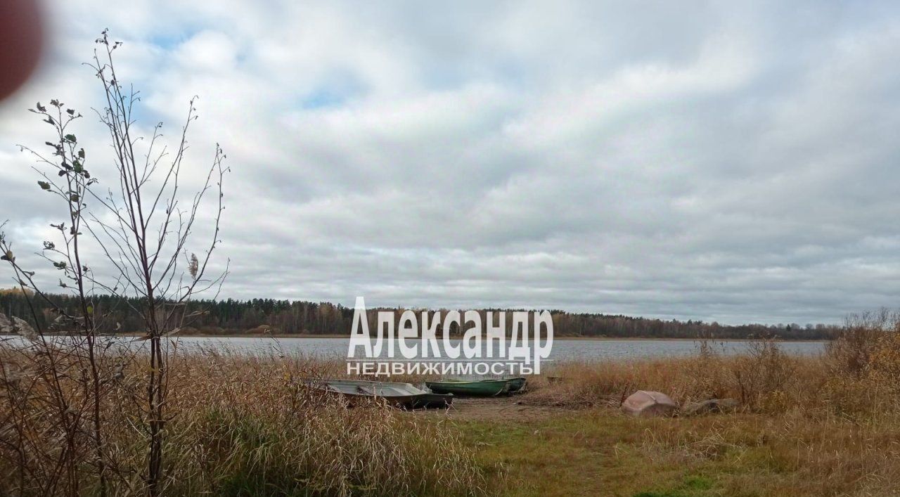 земля р-н Приозерский п Ромашки Ромашкинское с/пос, Пантошка кв-л фото 13