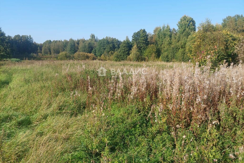 земля р-н Выборгский Приморское городское поселение фото 1