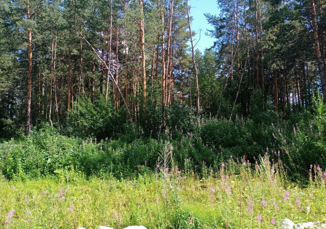 земля г Екатеринбург р-н Октябрьский пер Малый лесной ДНП Усадьба-Лес фото 1