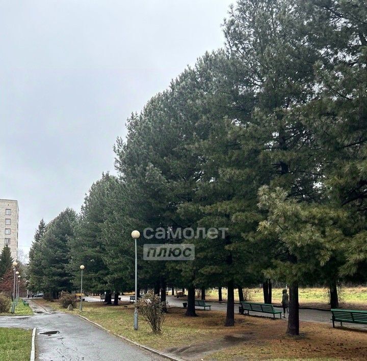 квартира г Томск р-н Советский Академгородок пр-кт Академический 5/1 фото 13