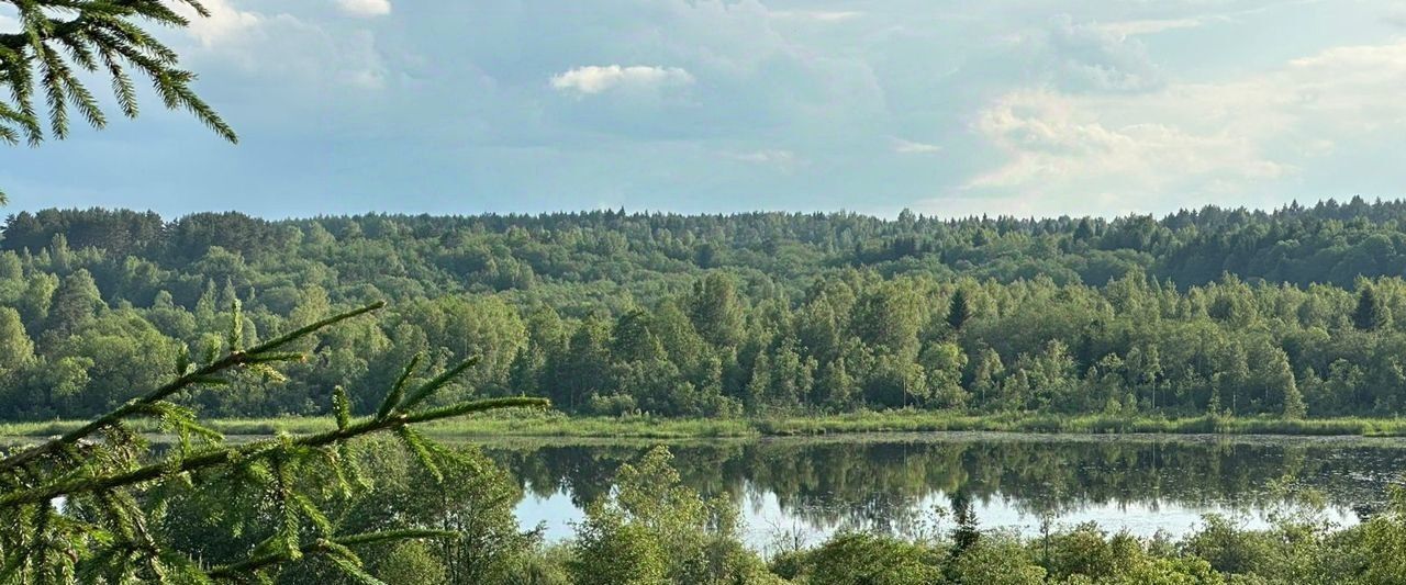 дом р-н Бологовский д Мишнево фото 11