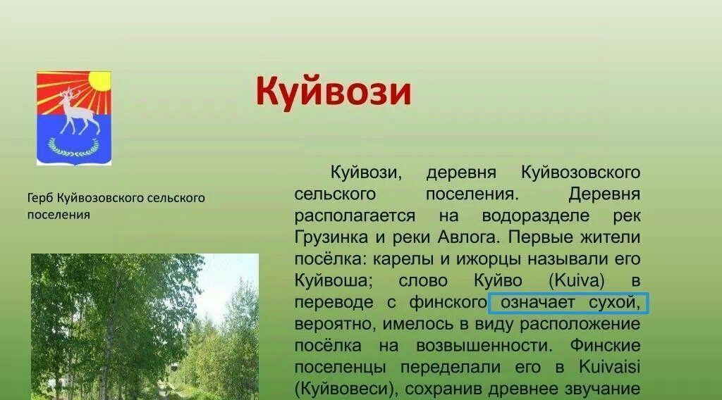 земля р-н Всеволожский д Куйвози ул Привокзальная Куйвозовское с/пос фото 5