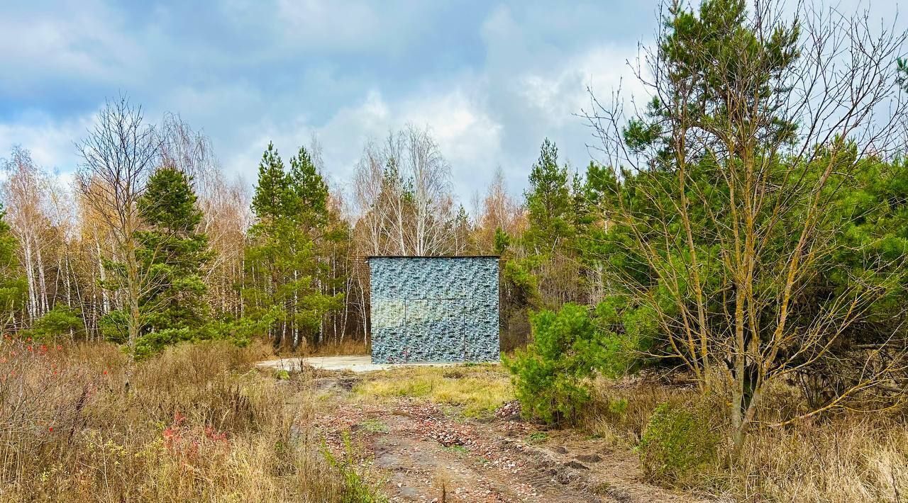 земля р-н Курский д Толмачево Лебяженский сельсовет, 2 фото 7