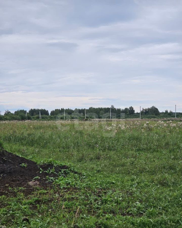 земля р-н Нижнетавдинский ДНТ Сочинское, Тюмень фото 4