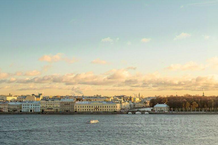 квартира г Санкт-Петербург р-н Петроградский ул Мичуринская 1 Посадский округ, Ленинградская область фото 5