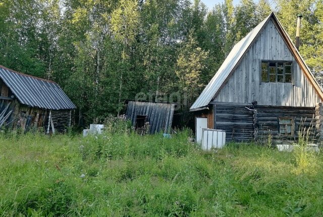 снт Парма село Выльгорт фото