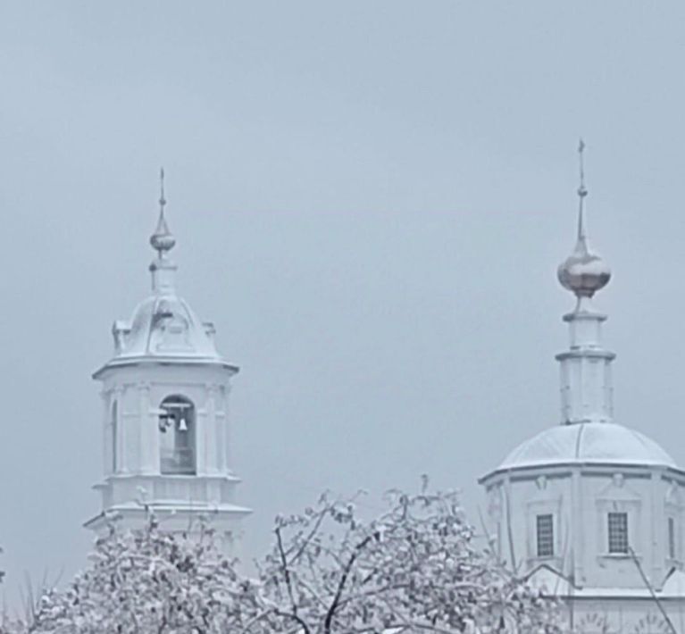 земля р-н Боровский г Боровск ул Шмидта 30 городское поселение Боровск фото 4