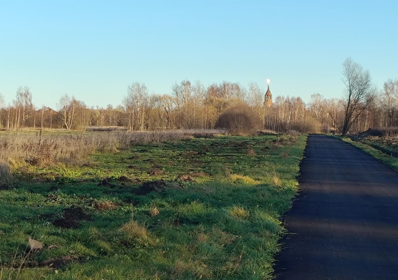 земля городской округ Орехово-Зуевский д Кудыкино Ликино-Дулево фото 2