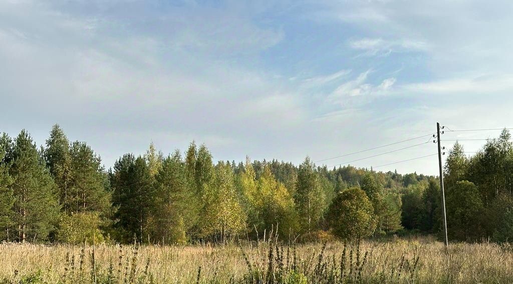 земля р-н Выборгский снт Надежда Каменногорское городское поселение фото 1