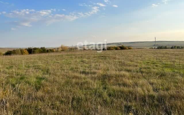 земля р-н Ишимбайский г Ишимбай ул Березовая городское поселение Ишимбай фото 3