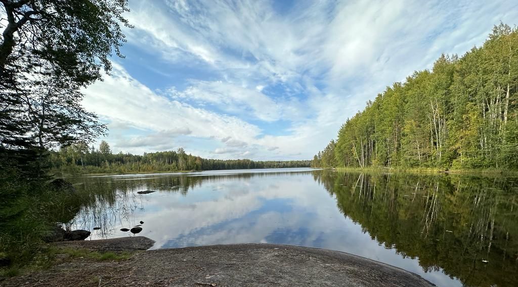 земля р-н Выборгский снт Надежда Каменногорское городское поселение фото 10