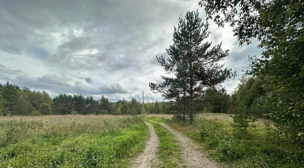 земля р-н Выборгский снт Надежда Каменногорское городское поселение фото 14