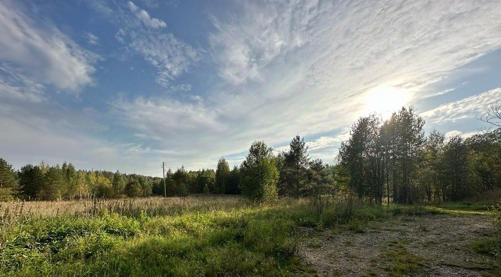 земля р-н Выборгский снт Надежда Каменногорское городское поселение фото 15