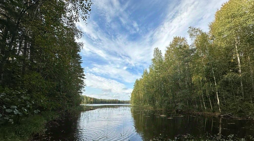 земля р-н Выборгский снт Надежда Каменногорское городское поселение фото 17