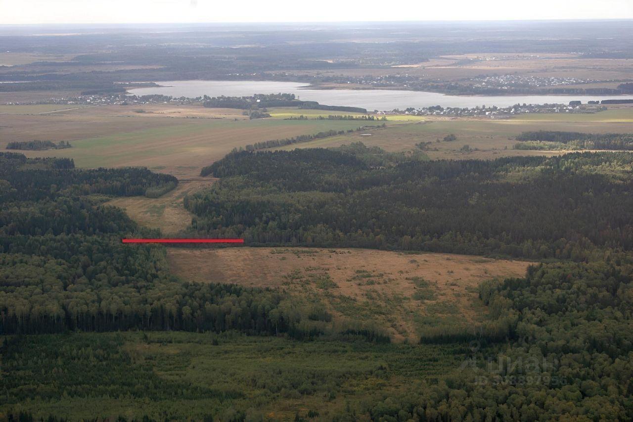 земля городской округ Можайский д Глазово ул Юрьевская 43 Рогачево фото 4