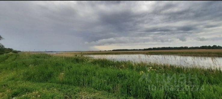 земля городской округ Волоколамский с Ярополец ул Додогорского 40 Волоколамск фото 13