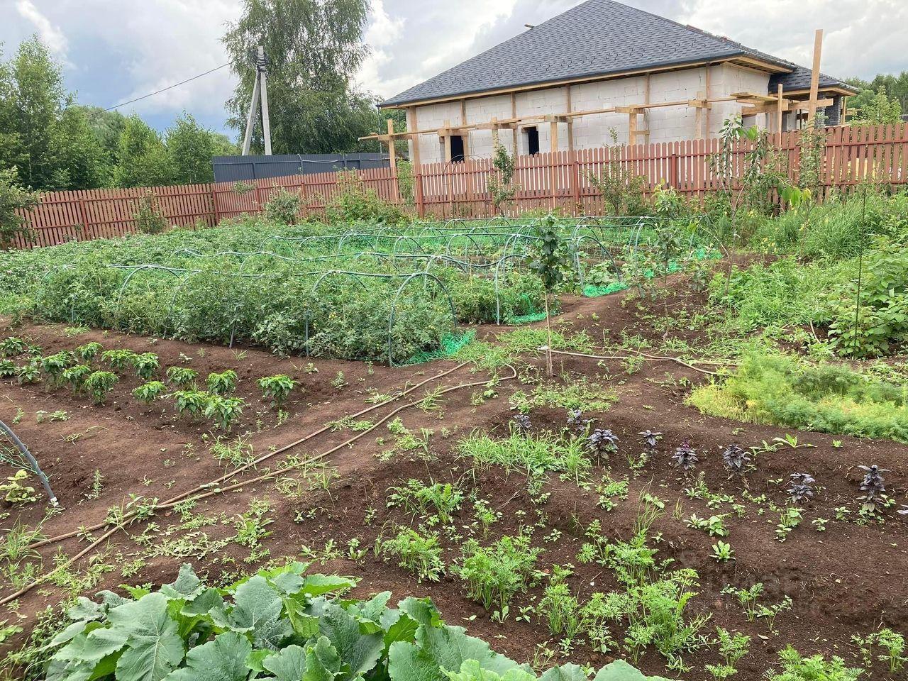 земля городской округ Люберцы рп Малаховка ул Малиновая городской округ Люберцы, Жилино-2 фото 6