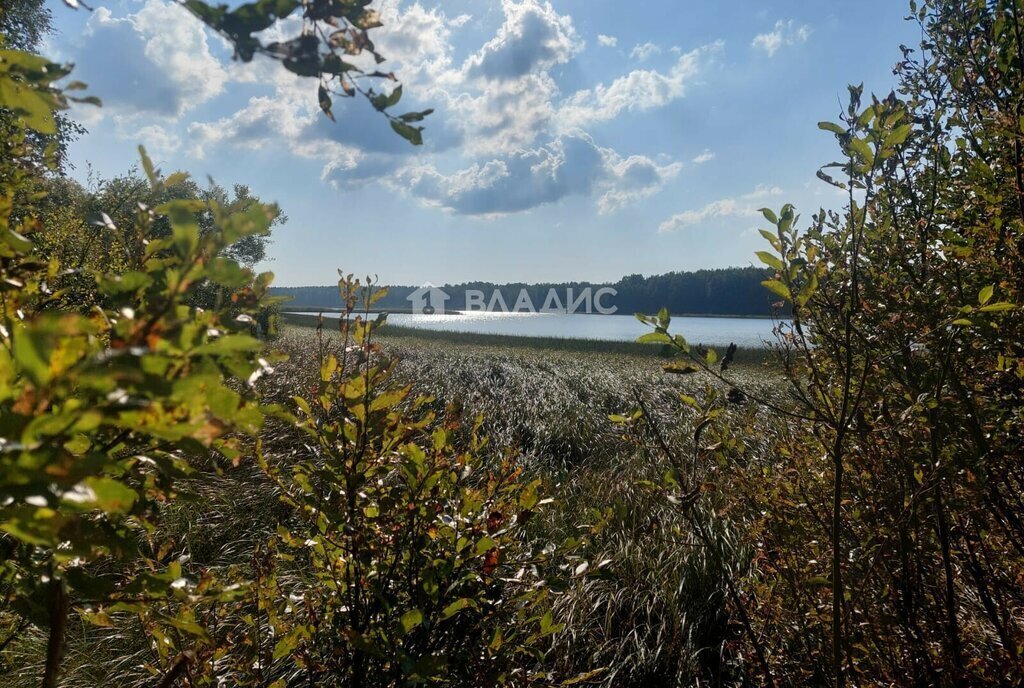 земля р-н Выборгский п Мамонтовка Приморское городское поселение фото 1