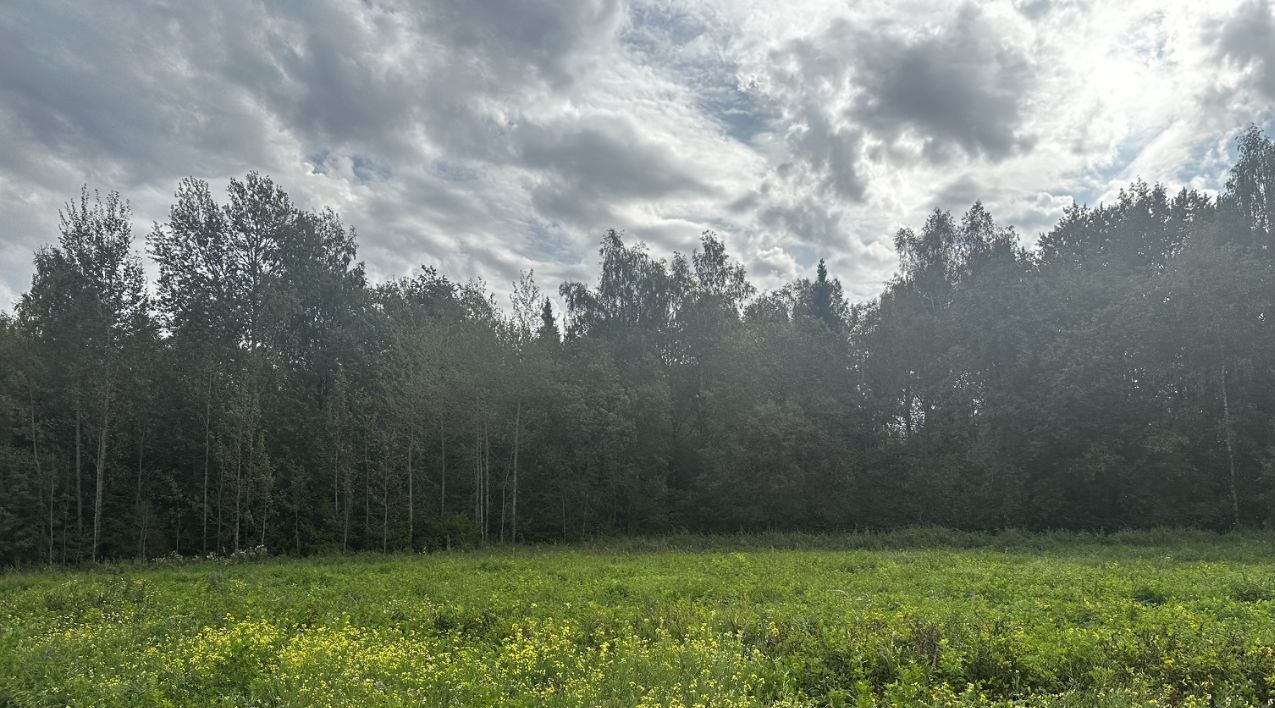 земля городской округ Сергиево-Посадский д Леоново фото 2