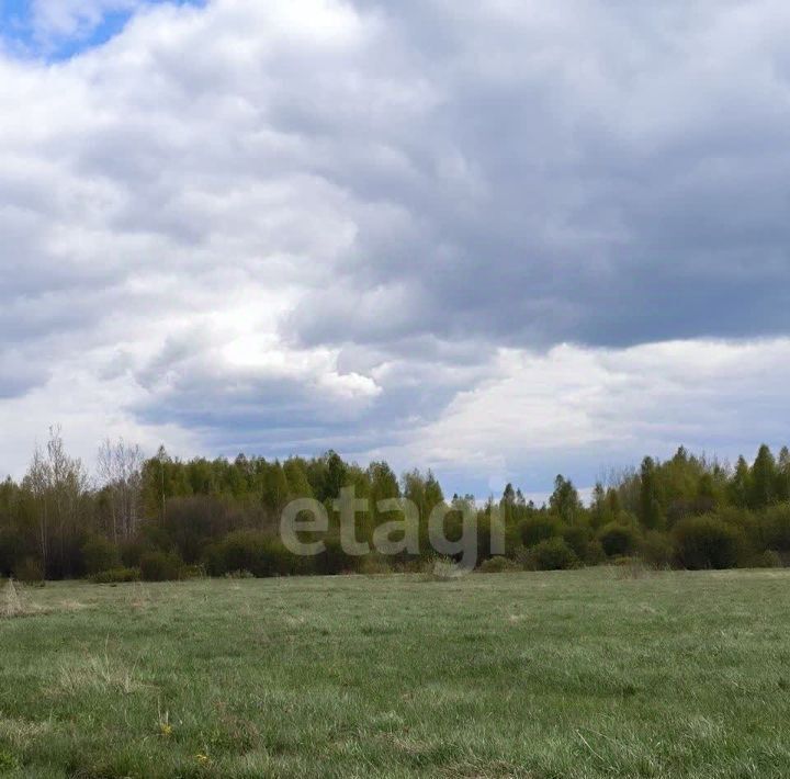 земля р-н Ярославский Ивняковское с/пос, Ярославские Усадьбы кп фото 3