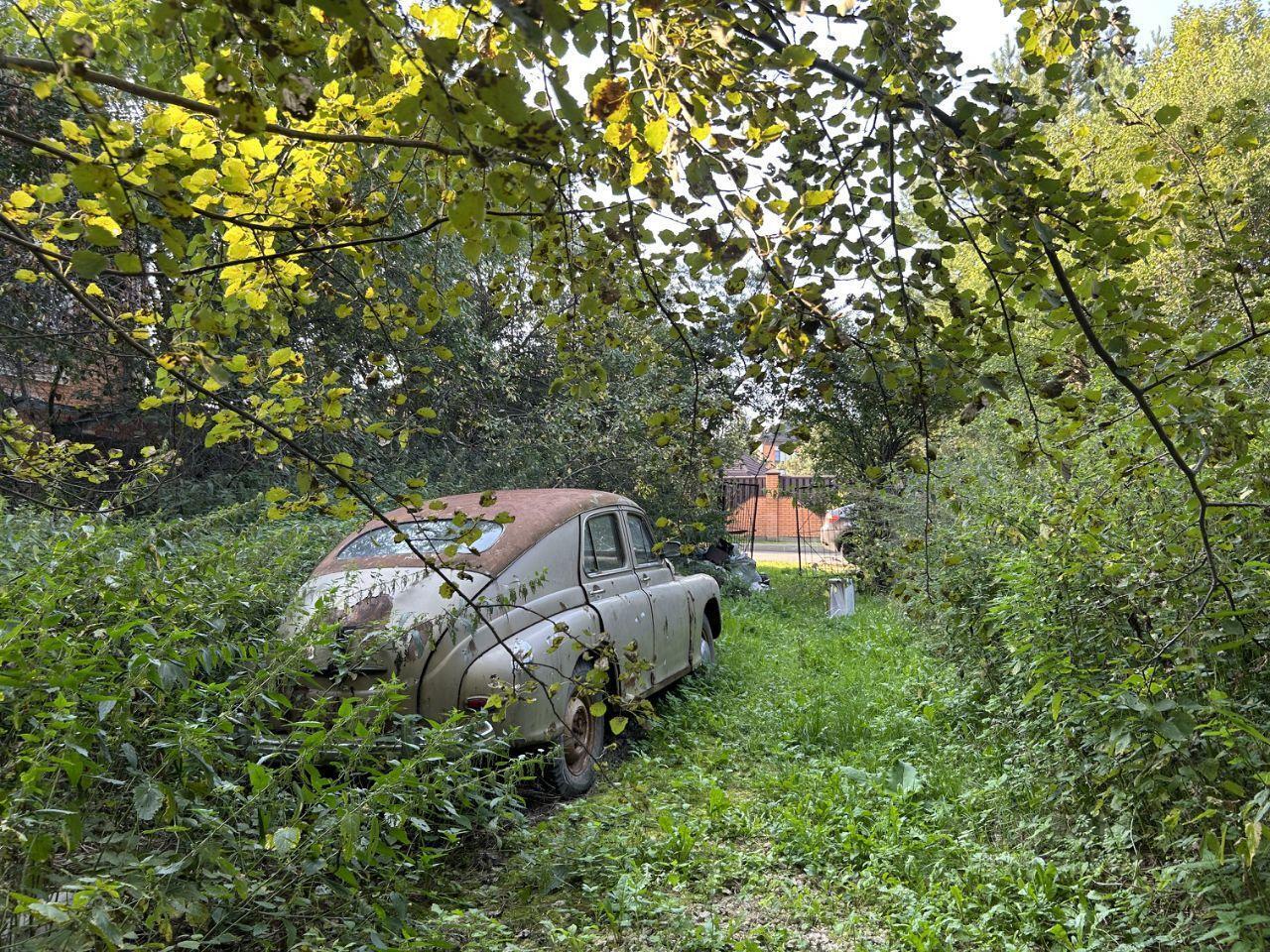 земля городской округ Ленинский д Картино Развилка, Лесная улица фото 6