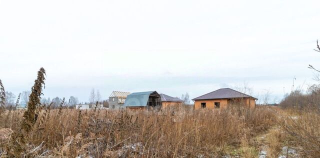 р-н Центральный снт Поле чудес-2 ул Полевая фото