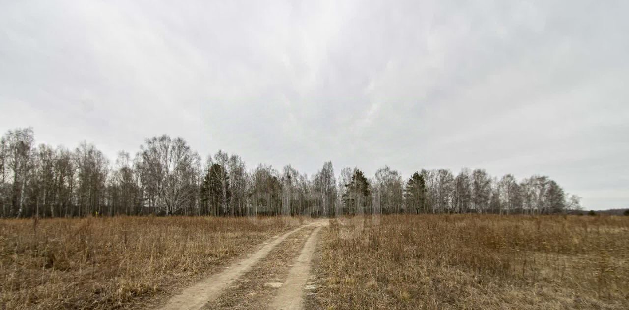 земля р-н Тюменский д Криводанова кп фото 4