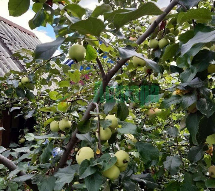 дом г Чита р-н Черновский мкр Березка городской округ Чита фото 9