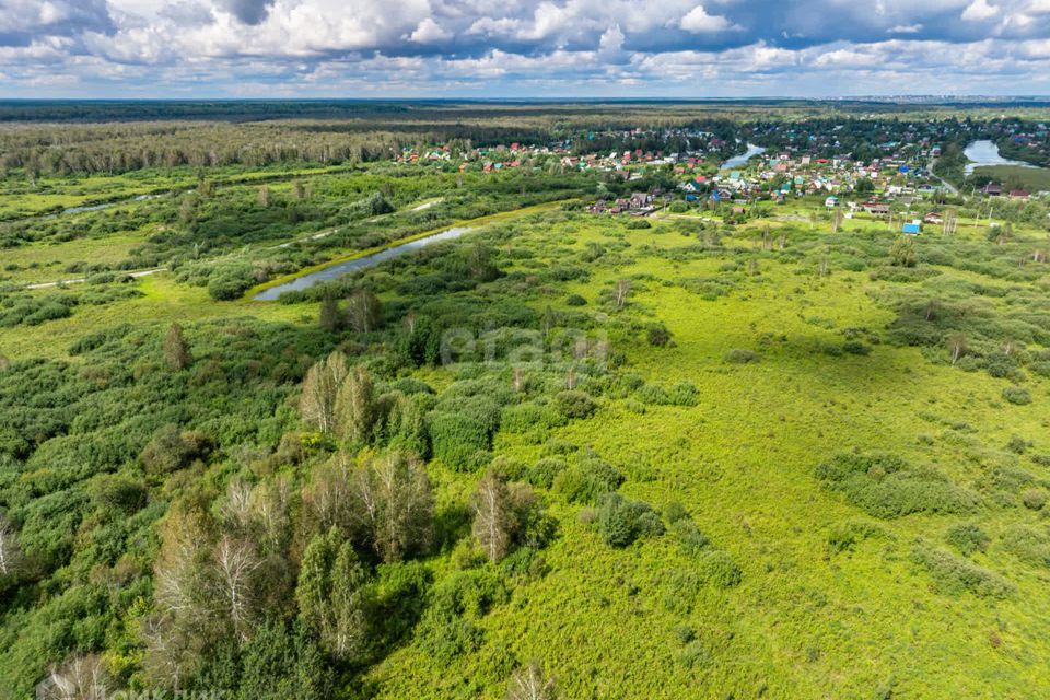 земля р-н Коченевский садовое некоммерческое товарищество Лесник фото 10