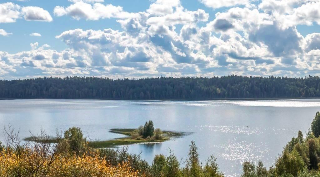 земля р-н Белозерский д Ангозеро Белозерский муниципальный округ фото 5