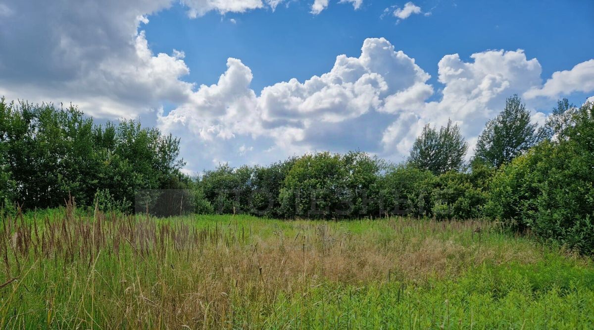 земля г Великий Новгород мкр Волховский фото 4