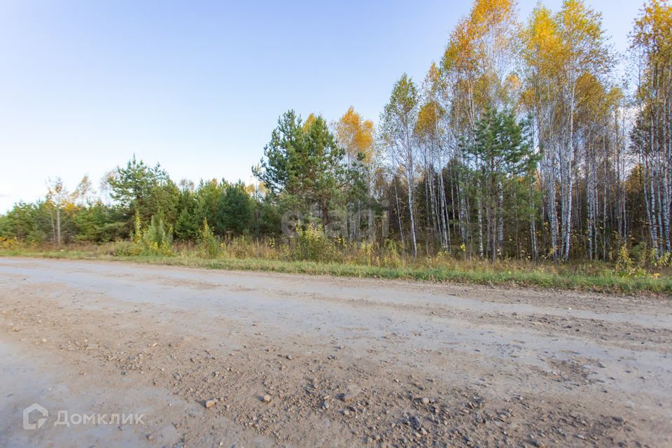 земля р-н Вагайский село Вагай фото 6