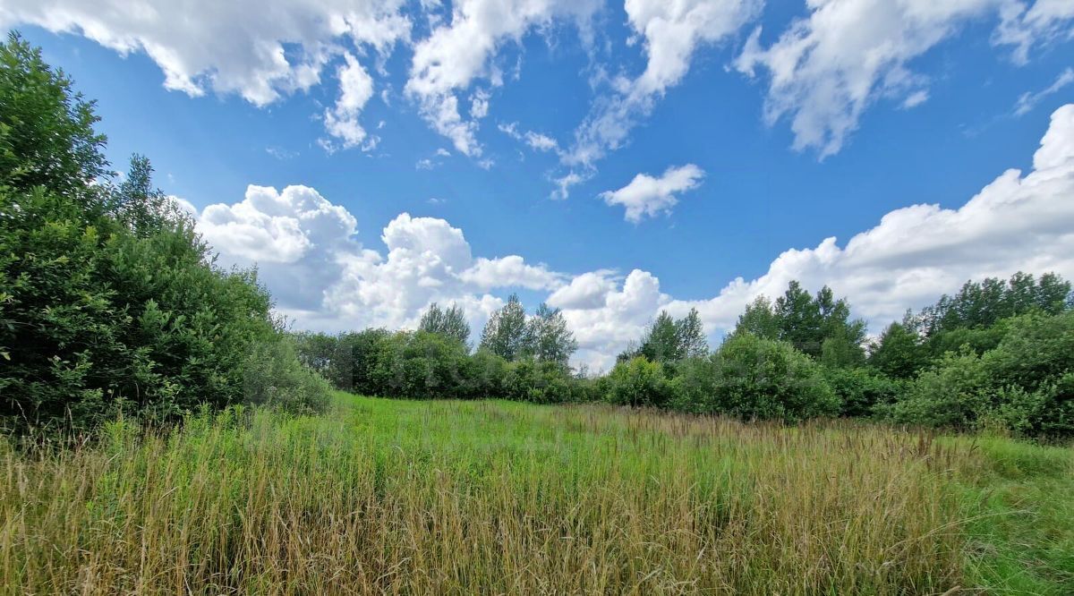 земля г Великий Новгород мкр Волховский фото 7