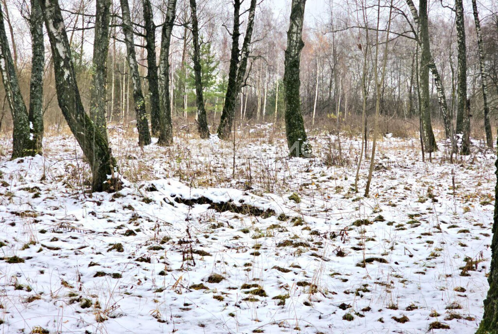 земля городской округ Коломенский п Возрождение городской округ Коломна фото 1