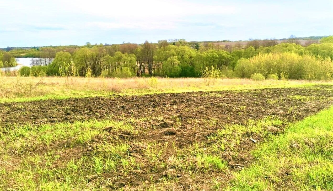 дом р-н Курский д Ивановка Нижнемедведицкий сельсовет, Курск фото 16